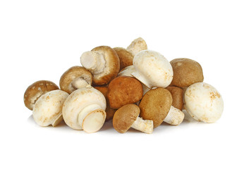 shiitake and champignon  mushroom on white background