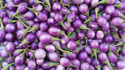 eggplant purple food vegetable nature color