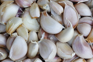  Vegetables on wooden table.
