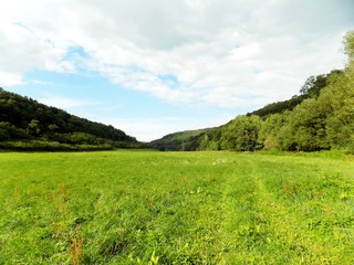 Meadow, forest and sky