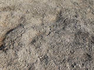asphalt crack