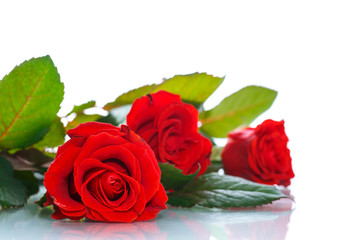Obraz na płótnie Canvas bouquet of beautiful red roses 