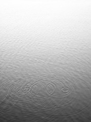 Rain drops in the water