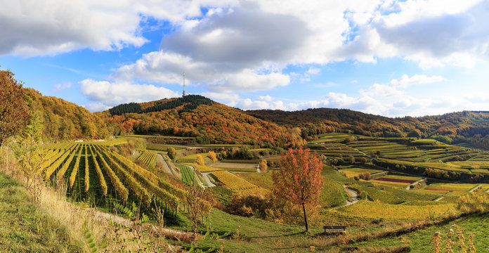 Weinbau Im Kaiserstuhl