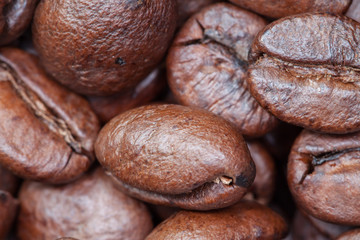 Macro Photo of Espresso Coffee Beans
