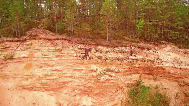 The white sands being excavated from this part of the forest. The area is a white sandstones from the mountain in Piusa Estonia