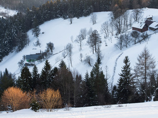 Góry i zima, widok na zasypane śniegiem łąki i lasy © jakubczajkowski