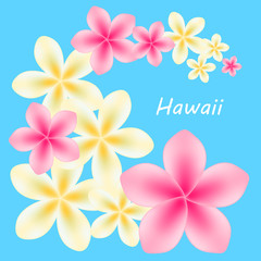 Background with frangipani flowers. Vector illustration.