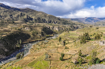 Fototapeta na wymiar Panoramic view of the terraces in the Colca Canyon, Peru