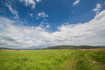 Field and blue skies in Croatia.
