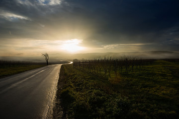 Pfälzer Landstraße kurz vor Sonnenuntergang bei Weisenheim am Berg