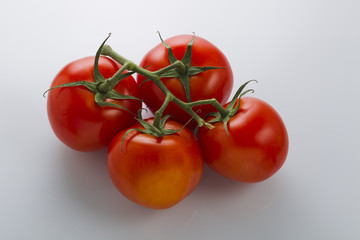Red tomatoes on a green branch on a white background