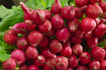 Red radishes in a pile.
