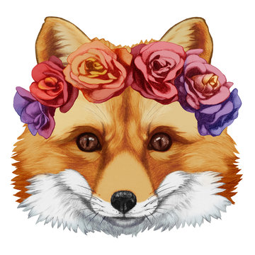 Portrait of Fox with floral head wreath. Hand-drawn illustration, digitally colored.