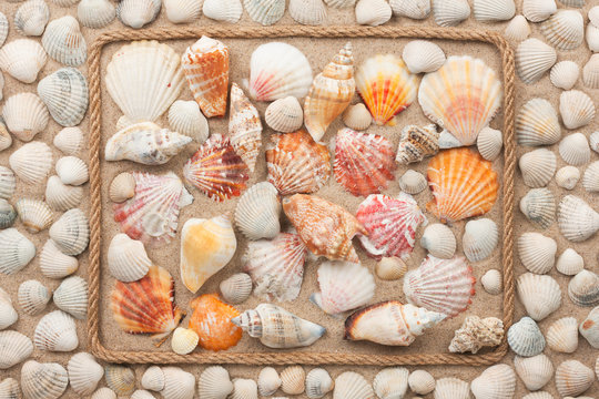 Beautiful frame of rope and sea shells on the sand