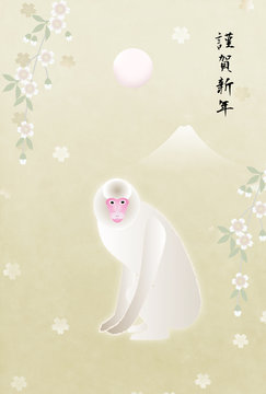 123 Best 白い猿 Images Stock Photos Vectors Adobe Stock