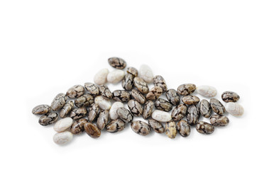 Chia seeds on whie.