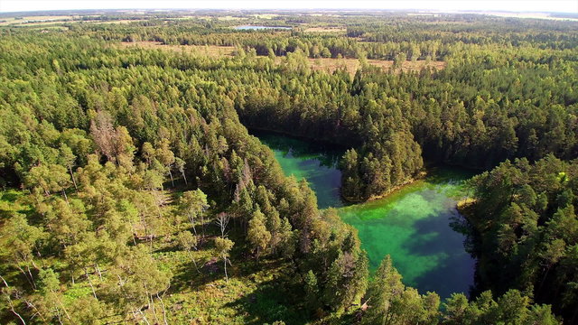 The green lake in Antu lake in Estonia. Taken on the aerial shot of the trees and lake in Laane-Virumaa