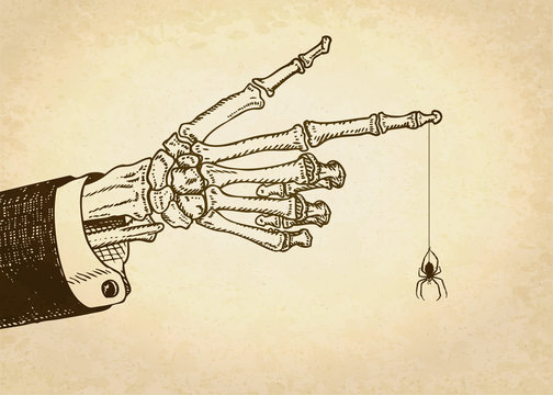 Skeleton hand with spider. Vector illustration, eps10.