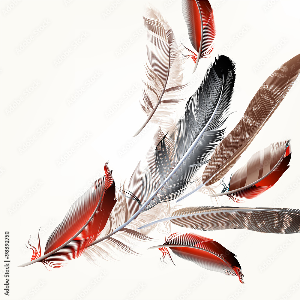 Poster Background with bird feathers in realistic style