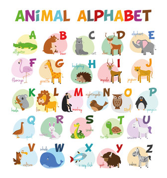Ilustración de vector Alfabeto ilustrado con animales para niños. Abecedario inglés. Aprender a leer.