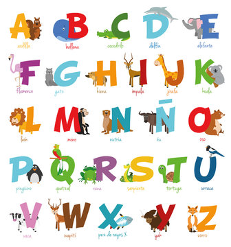 Ulstración de vector Alfabeto ilustrado con animales para niños. Abecedario español. Aprender a leer.