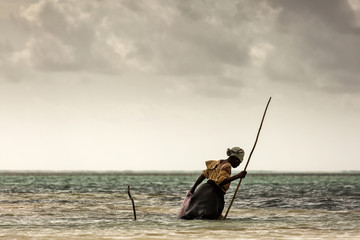 Woman in Zanzibar looking for seaweed in ocean on low tide - obrazy, fototapety, plakaty
