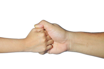 adult and kid hands hold each other fingers firmly isolated on w