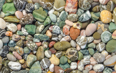 Sea pebbles/Colored sea pebbles on the beach