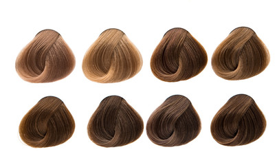 Hair Colors Set. Tints.