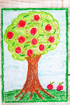 colorful drawing: apple tree