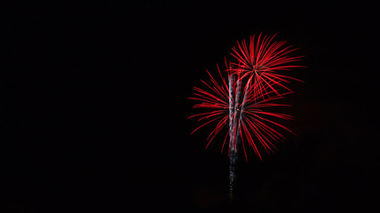 Fototapeta premium colorful Fireworks