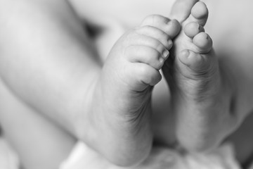 Beautiful Soft newborn baby feet