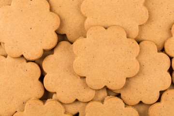 Gingerbread star cookies