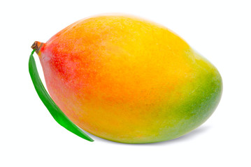 Mango isolated on white