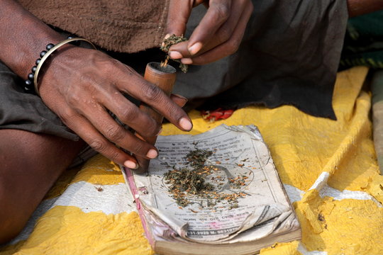 Sadhu is preparing his chillum to smoke ganja (marihuana)