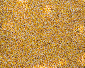 corn grain