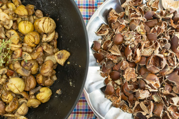 Edible chestnut