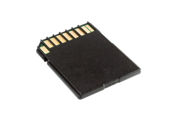 SD memory card isolated on white background
