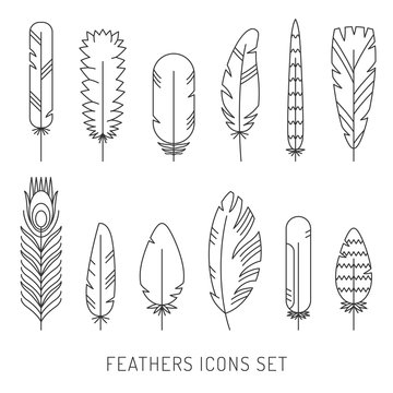 Feathers outline gray icons vector set. Modern minimalistic design.