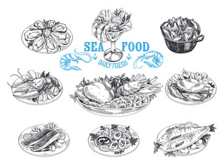 Vector hand drawn illustration with seafood. 