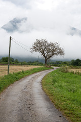 Route de campagne avec montagne et brouillard au fond