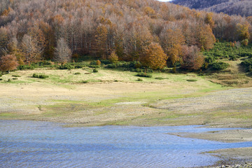 autumn foliage