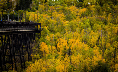 Fall colors alone the high level bridge