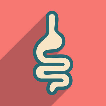 Icon of human intestines in flat style