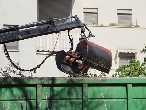 Tree Removal Truck. Tree Service Truck Loading Trimmed Trees. Tree Trimming Bucket Truck Loading Trimmed Plants. Street Tree Trimming And Removal. An Hydraulic Arm Of Self-loading Grapple Truck. 