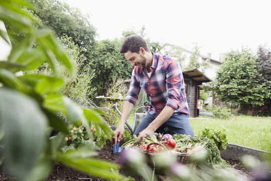 Man gardening in vegetable patch