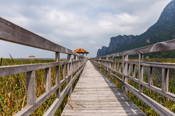 Wood bridge in Khao Sam Roi Yod National Park, Thailand.