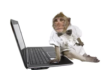 Acrylic prints Monkey A monkey in a suit with a laptop