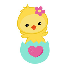 Greeting card.Cute chick congratulates on a white background.